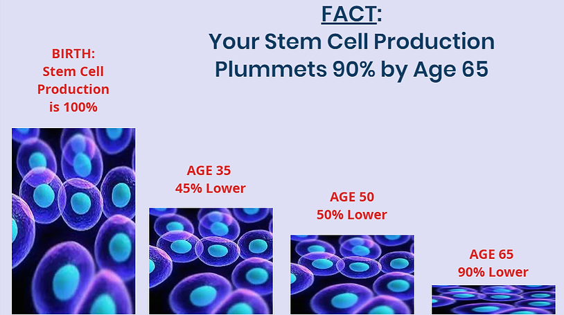 Stem cells production